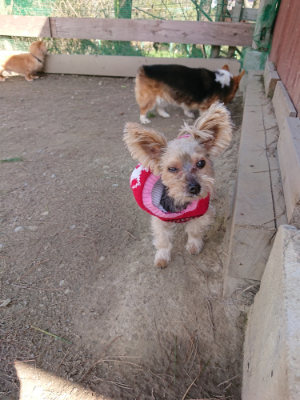 f:id:roukenhome-ann:20190410074606j:plain f:id:roukenhome-ann:20190410074606j:plain
