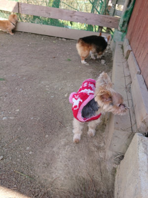 f:id:roukenhome-ann:20190410074612j:plain f:id:roukenhome-ann:20190410074612j:plain