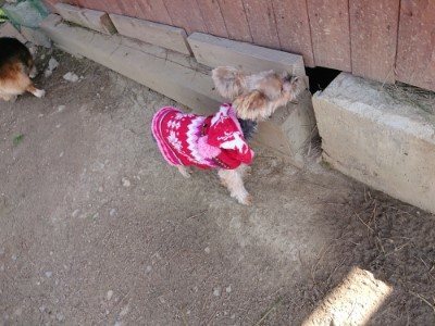 f:id:roukenhome-ann:20190410074617j:plain f:id:roukenhome-ann:20190410074617j:plain