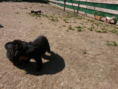 f:id:roukenhome-ann:20190410074629j:plain f:id:roukenhome-ann:20190410074629j:plain