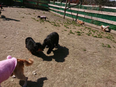 f:id:roukenhome-ann:20190410074639j:plain f:id:roukenhome-ann:20190410074639j:plain