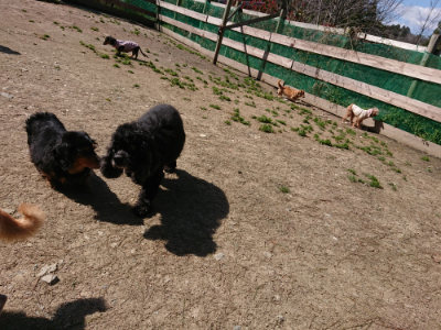 f:id:roukenhome-ann:20190410074644j:plain f:id:roukenhome-ann:20190410074644j:plain