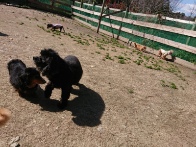 f:id:roukenhome-ann:20190410074649j:plain f:id:roukenhome-ann:20190410074649j:plain
