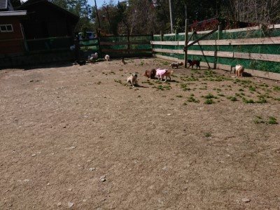 f:id:roukenhome-ann:20190410074653j:plain f:id:roukenhome-ann:20190410074653j:plain