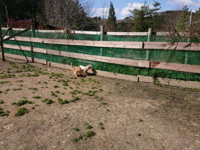 f:id:roukenhome-ann:20190410074709j:plain f:id:roukenhome-ann:20190410074709j:plain