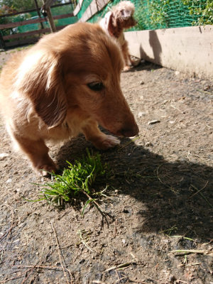f:id:roukenhome-ann:20190410074715j:plain f:id:roukenhome-ann:20190410074715j:plain