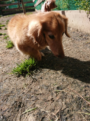 f:id:roukenhome-ann:20190410074721j:plain f:id:roukenhome-ann:20190410074721j:plain