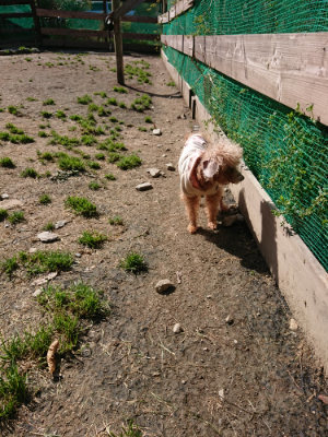 f:id:roukenhome-ann:20190410074726j:plain f:id:roukenhome-ann:20190410074726j:plain