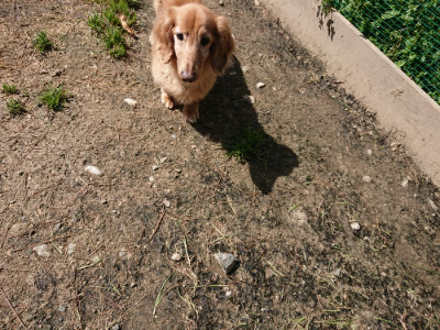 f:id:roukenhome-ann:20190410074739j:plain f:id:roukenhome-ann:20190410074739j:plain