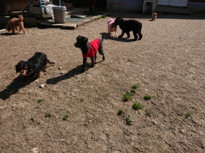 f:id:roukenhome-ann:20190410074806j:plain f:id:roukenhome-ann:20190410074806j:plain