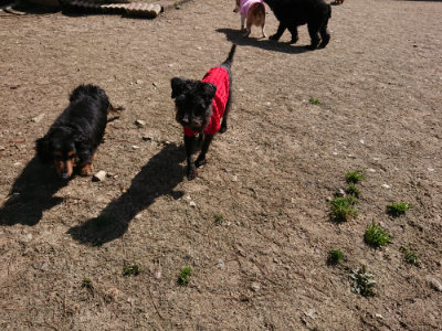 f:id:roukenhome-ann:20190410074813j:plain f:id:roukenhome-ann:20190410074813j:plain