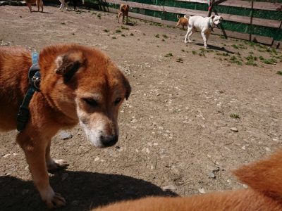f:id:roukenhome-ann:20190410074848j:plain f:id:roukenhome-ann:20190410074848j:plain