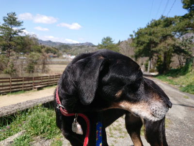 f:id:roukenhome-ann:20190410074903j:plain f:id:roukenhome-ann:20190410074903j:plain