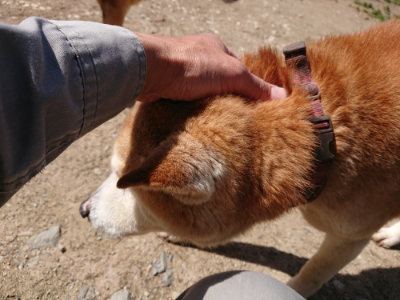 f:id:roukenhome-ann:20190410074921j:plain f:id:roukenhome-ann:20190410074921j:plain