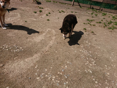 f:id:roukenhome-ann:20190410075350j:plain f:id:roukenhome-ann:20190410075350j:plain