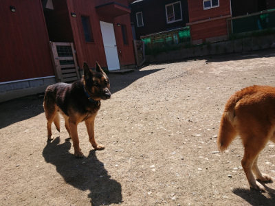 f:id:roukenhome-ann:20190410075411j:plain f:id:roukenhome-ann:20190410075411j:plain