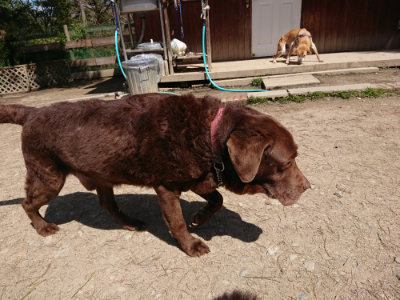 f:id:roukenhome-ann:20190410075440j:plain f:id:roukenhome-ann:20190410075440j:plain