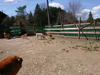 f:id:roukenhome-ann:20190410075445j:plain f:id:roukenhome-ann:20190410075445j:plain
