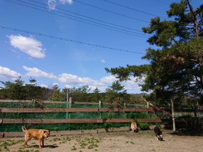 f:id:roukenhome-ann:20190410075508j:plain f:id:roukenhome-ann:20190410075508j:plain
