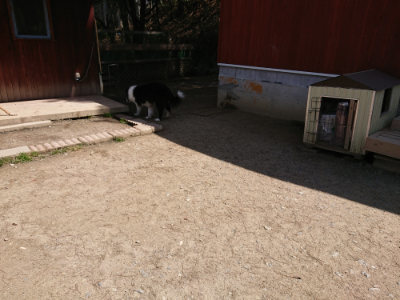 f:id:roukenhome-ann:20190410075520j:plain f:id:roukenhome-ann:20190410075520j:plain