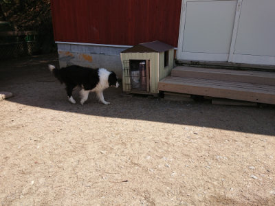 f:id:roukenhome-ann:20190410075526j:plain f:id:roukenhome-ann:20190410075526j:plain