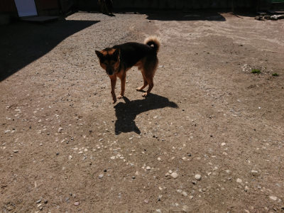 f:id:roukenhome-ann:20190410075531j:plain f:id:roukenhome-ann:20190410075531j:plain