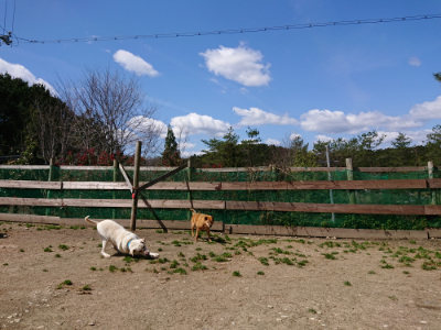 f:id:roukenhome-ann:20190410075544j:plain f:id:roukenhome-ann:20190410075544j:plain