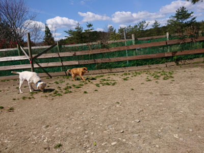 f:id:roukenhome-ann:20190410075549j:plain f:id:roukenhome-ann:20190410075549j:plain