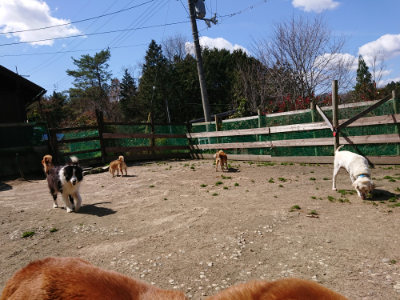 f:id:roukenhome-ann:20190410075555j:plain f:id:roukenhome-ann:20190410075555j:plain