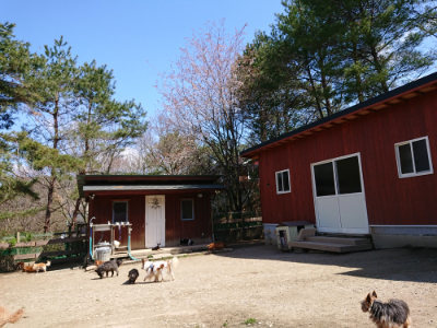 f:id:roukenhome-ann:20190410075709j:plain f:id:roukenhome-ann:20190410075709j:plain