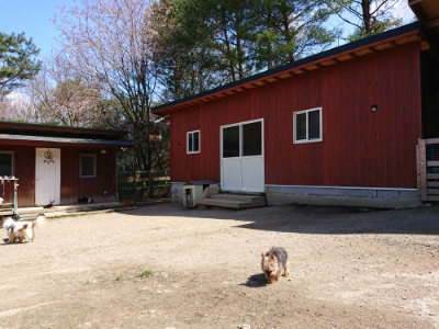 f:id:roukenhome-ann:20190410075715j:plain f:id:roukenhome-ann:20190410075715j:plain