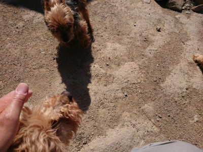 f:id:roukenhome-ann:20190410075720j:plain f:id:roukenhome-ann:20190410075720j:plain
