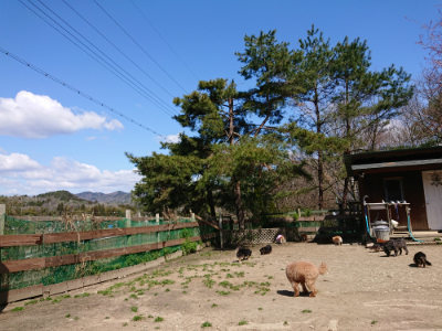 f:id:roukenhome-ann:20190410075747j:plain f:id:roukenhome-ann:20190410075747j:plain