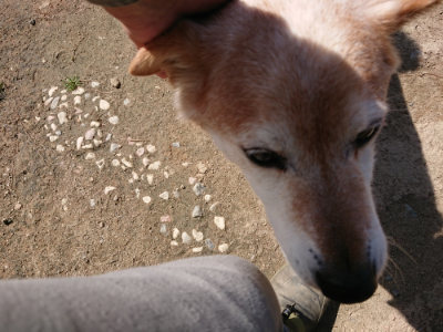 f:id:roukenhome-ann:20190410075806j:plain f:id:roukenhome-ann:20190410075806j:plain