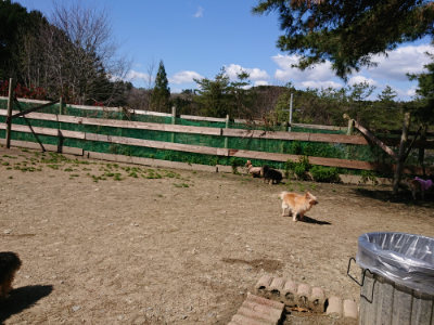 f:id:roukenhome-ann:20190410080023j:plain