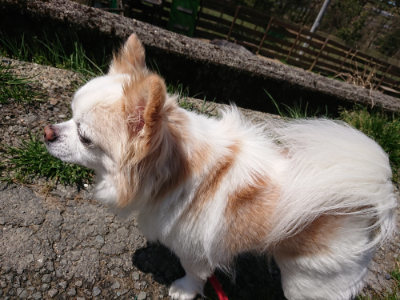 f:id:roukenhome-ann:20190410080207j:plain