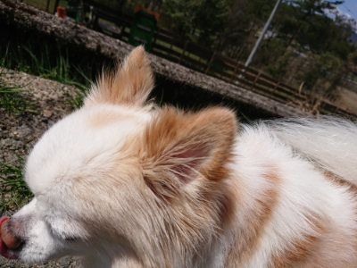 f:id:roukenhome-ann:20190410080240j:plain