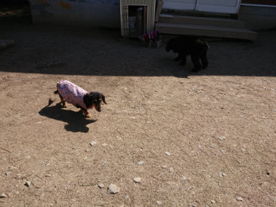 f:id:roukenhome-ann:20190410080245j:plain