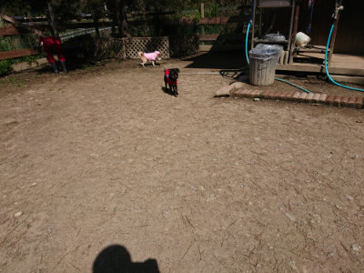 f:id:roukenhome-ann:20190410080341j:plain