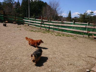 f:id:roukenhome-ann:20190410080345j:plain