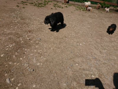 f:id:roukenhome-ann:20190410080502j:plain