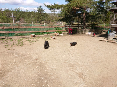f:id:roukenhome-ann:20190410080530j:plain