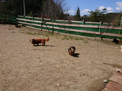 f:id:roukenhome-ann:20190410080541j:plain