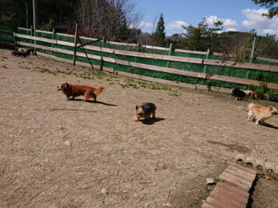 f:id:roukenhome-ann:20190410080600j:plain