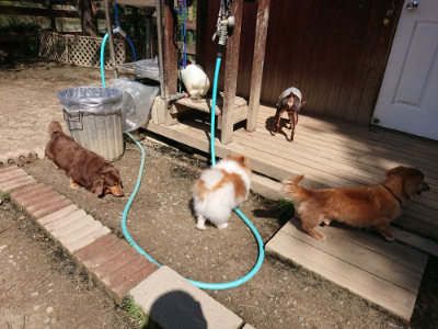 f:id:roukenhome-ann:20190410080635j:plain