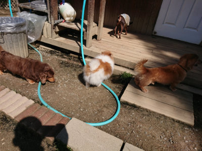 f:id:roukenhome-ann:20190410080641j:plain