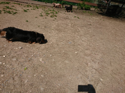 f:id:roukenhome-ann:20190410080647j:plain