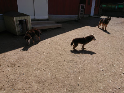 f:id:roukenhome-ann:20190410080653j:plain