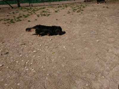 f:id:roukenhome-ann:20190410080715j:plain