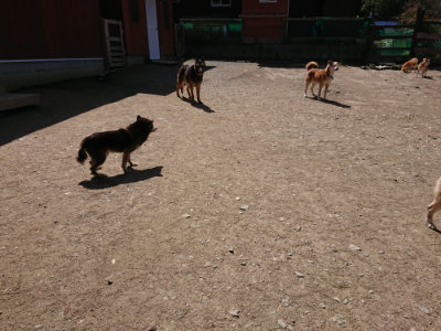 f:id:roukenhome-ann:20190410080720j:plain